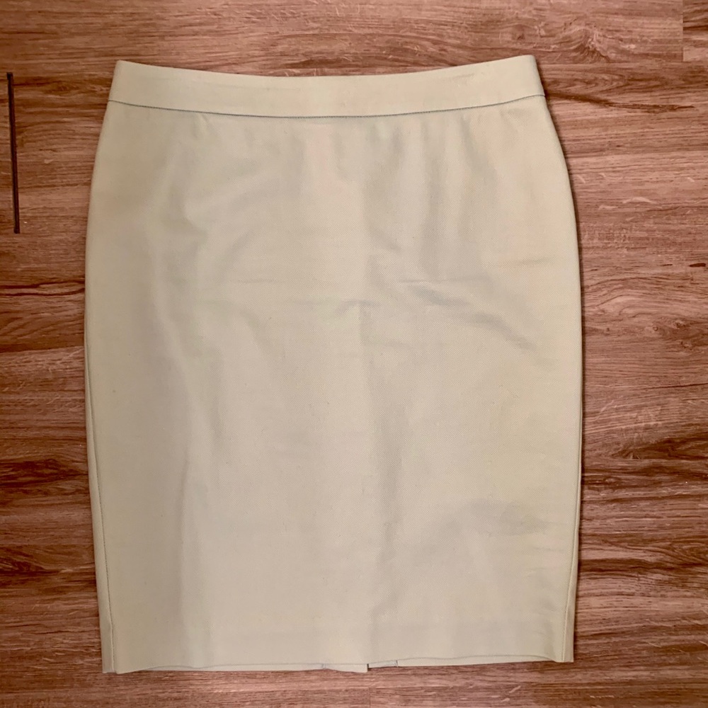 Robins Egg Blue Pencil Skirt